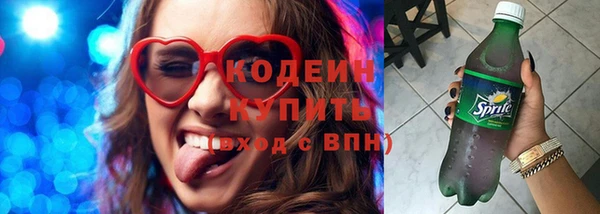 индика Надым