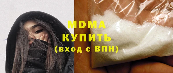 индика Надым