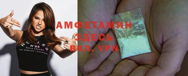 индика Надым