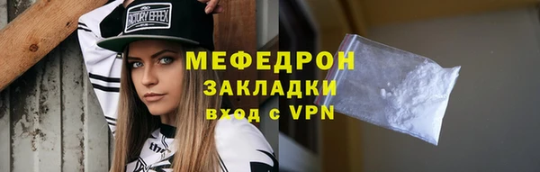 индика Надым