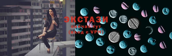 индика Надым