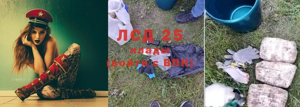 дмт Апатиты