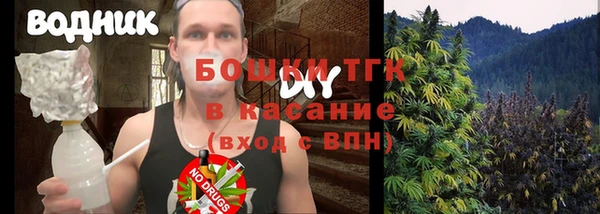 индика Надым