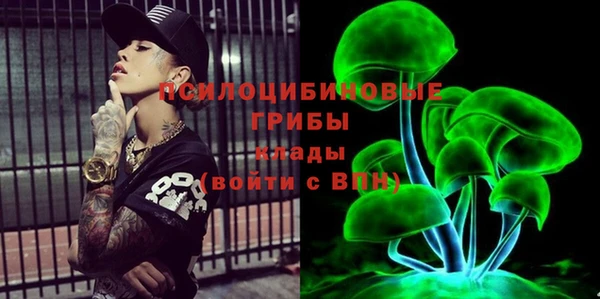 твердый Михайлов
