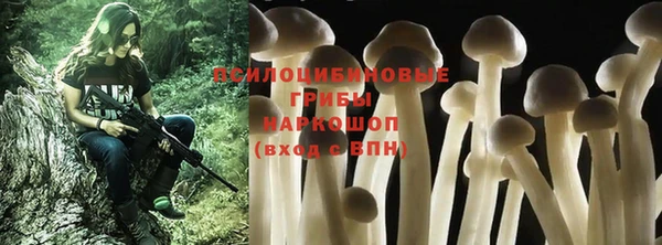 твердый Михайлов
