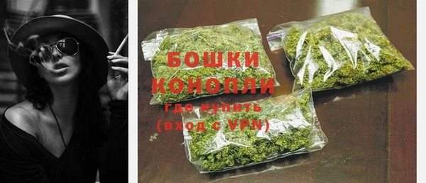твердый Михайлов