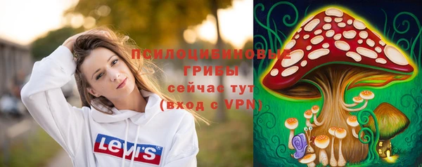 индика Надым