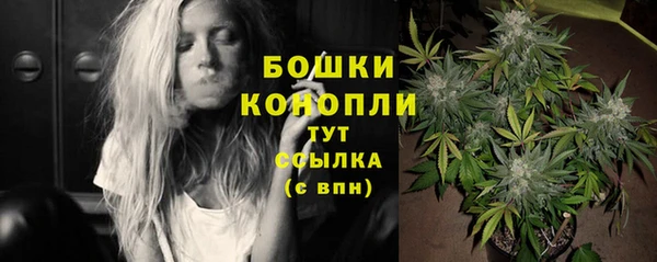 твердый Михайлов