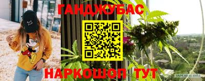 крисы Берёзовский