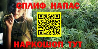 хмурый Бийск