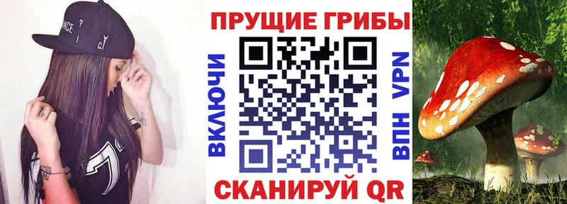 Псилоцибиновые грибы GOLDEN TEACHER Санкт-Петербург