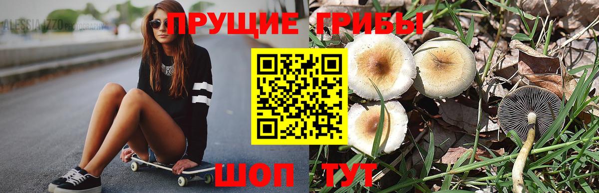 Санкт-Петербург  Галлюциногенные грибы GOLDEN TEACHER  Вход с VPN 