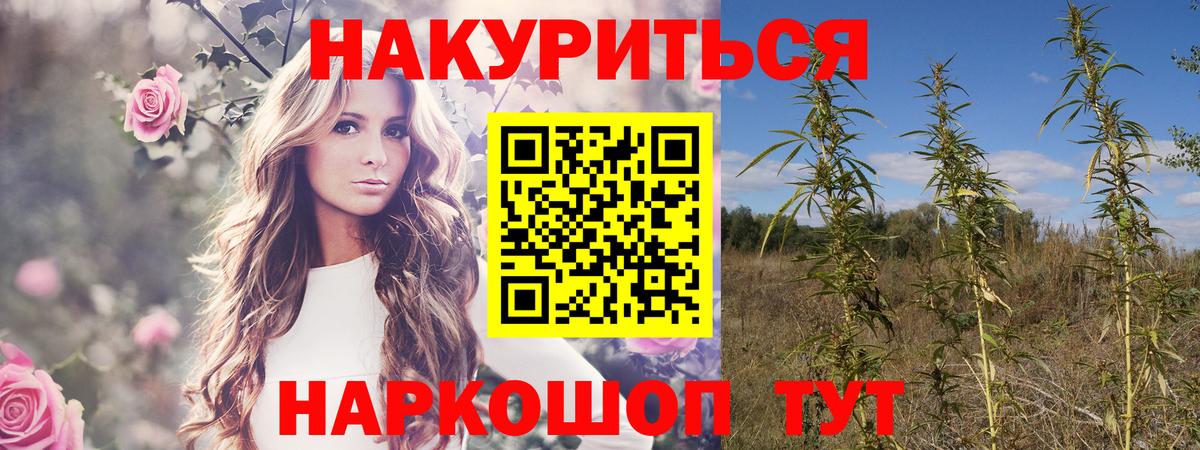 Канабис марихуана  Марихуана White Widow  Санкт-Петербург  Бошки Шишки планчик 